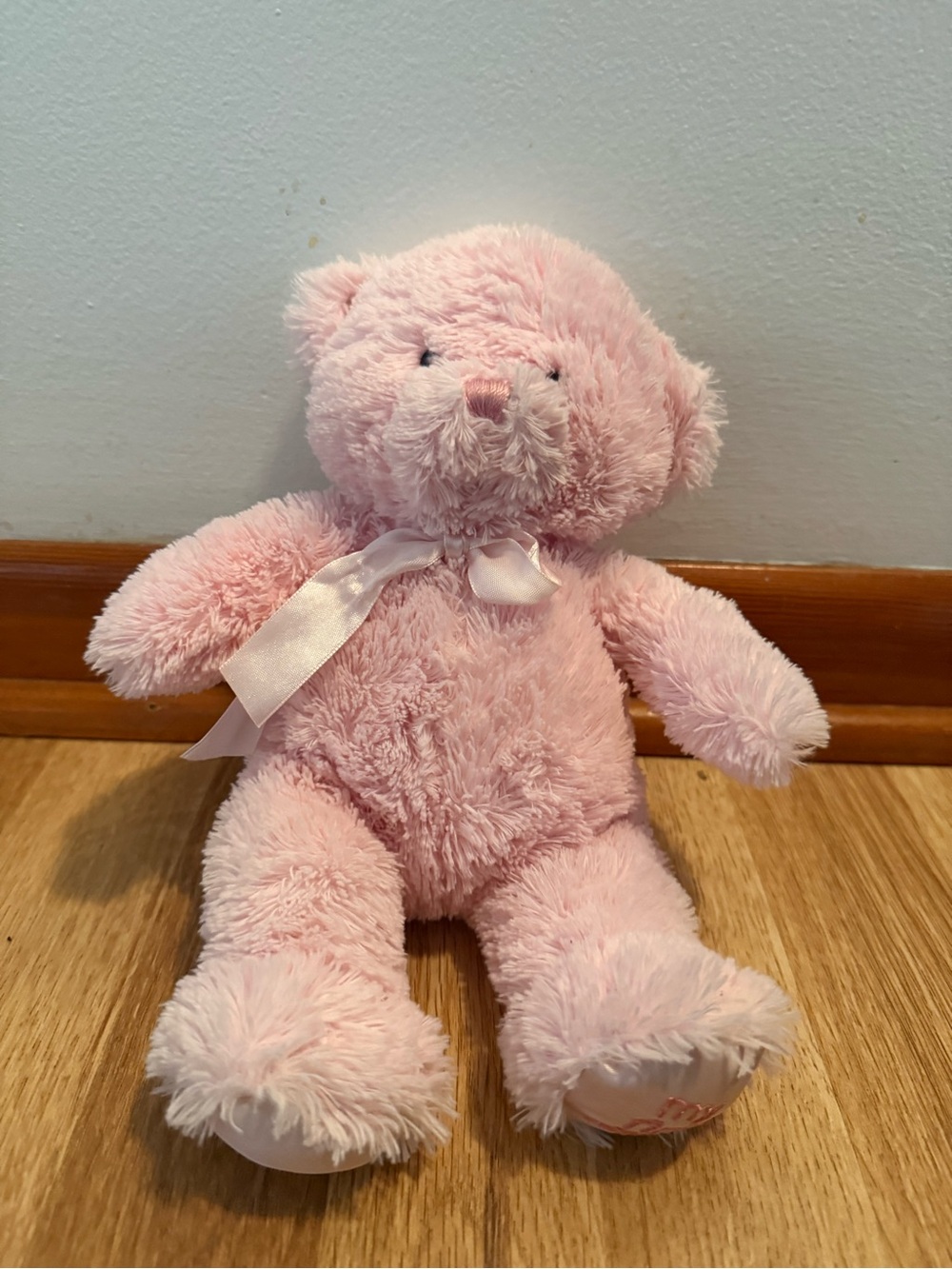 Baby Gund Pink Soft My First Teddy Bear Stuffed Animal Plush Toy Small 11”
